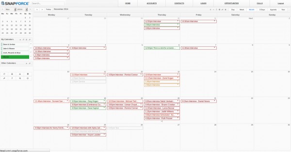 Snapforce CRM Software Screenshot 6