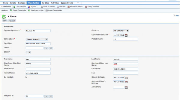 Diamond Relations Software Screenshot 5