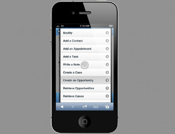 Maximizer CRM Software Screenshot 4