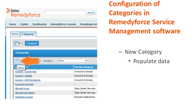 BMC Remedyforce  Software Screenshot 2